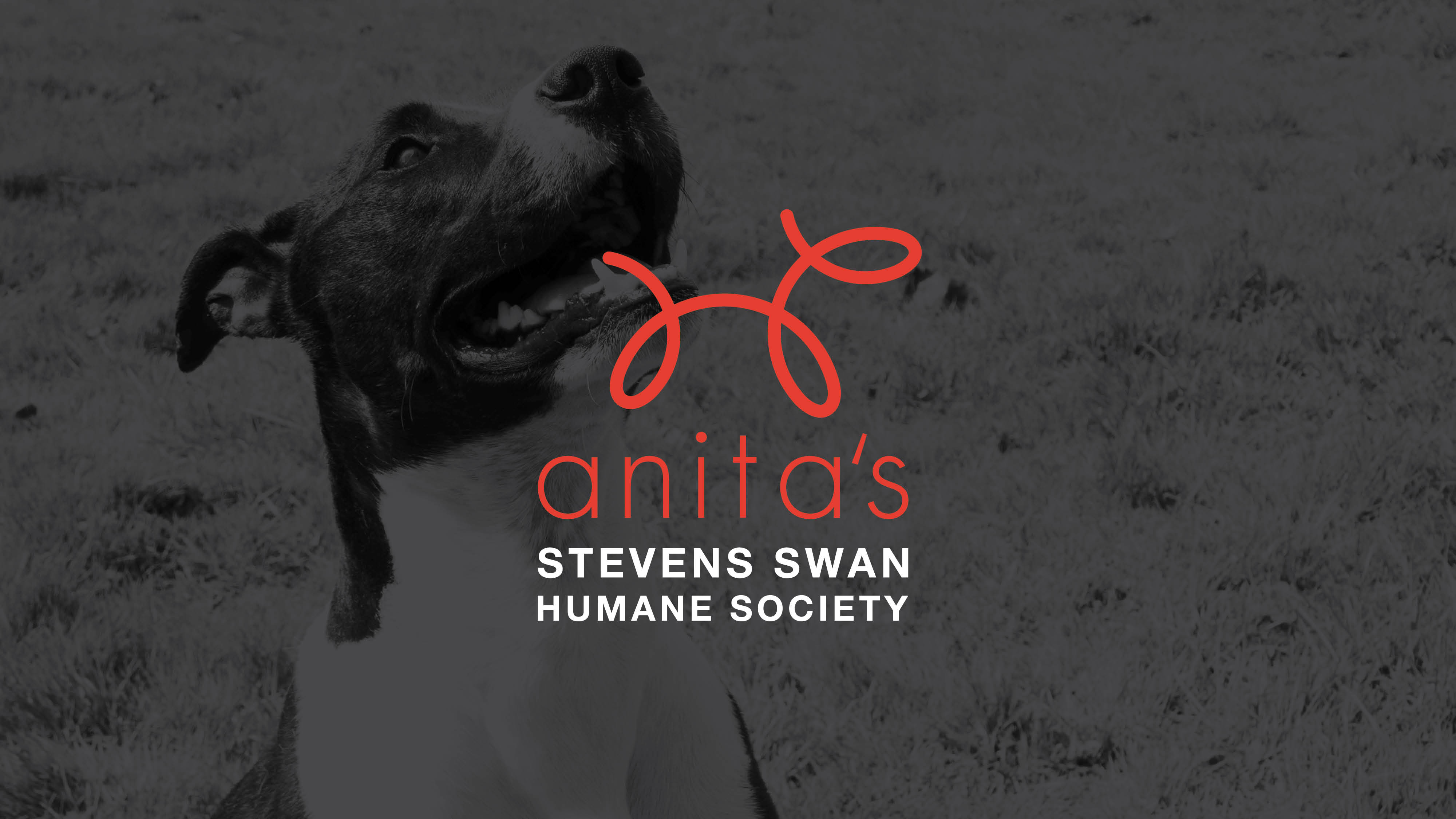 Anita's Stevens Swan Humane Society